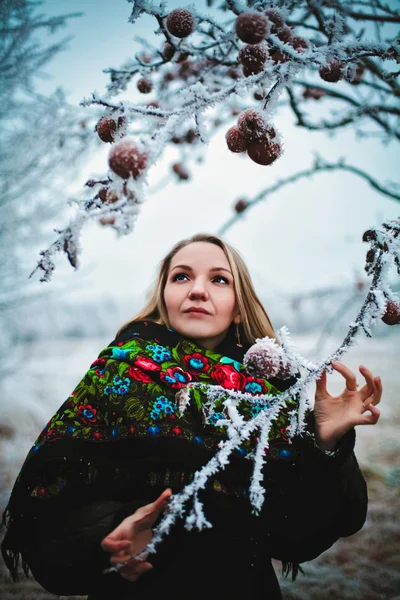 Meisje winter — Stockfoto