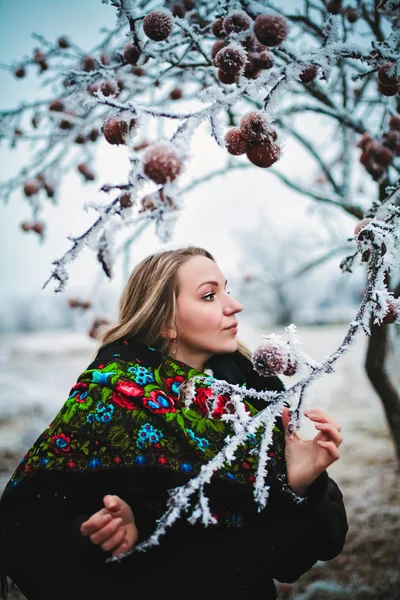 Chica invierno —  Fotos de Stock