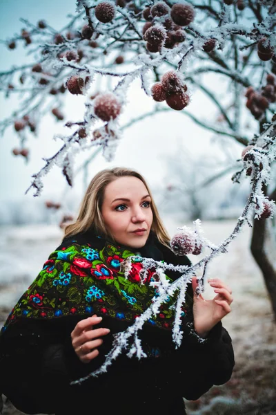 Dziewczyna Winter — Zdjęcie stockowe