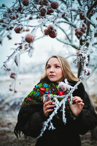 Girl winter — Stock Photo, Image