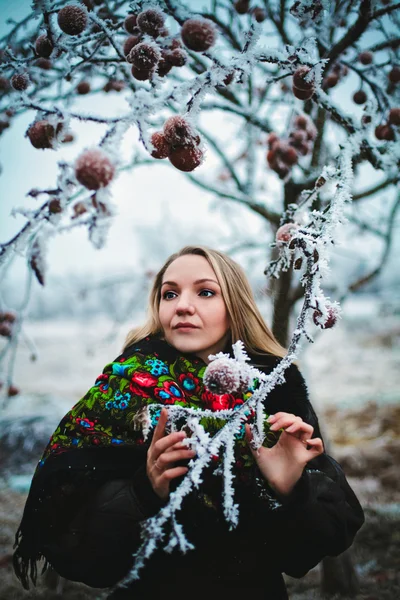 Girl winter — Stock Photo, Image