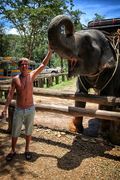 El hombre y el elefante —  Fotos de Stock