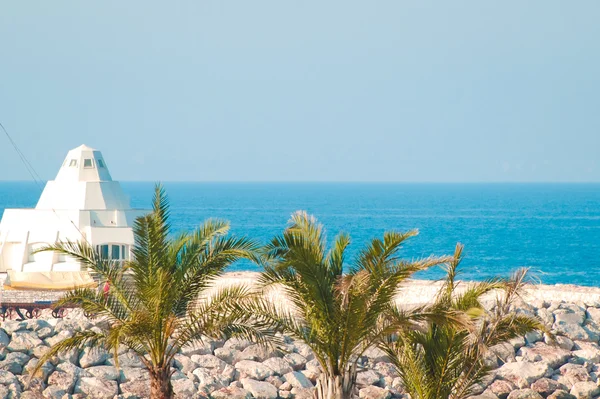 Strand en palm bomen — Stockfoto