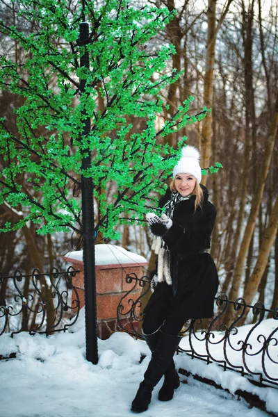 Meisje in de winter — Stockfoto