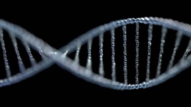 Rotující Řetězec Dna Kyselina Deoxyribonukleová Černém Pozadí Vědecký Genetický Koncept — Stock video