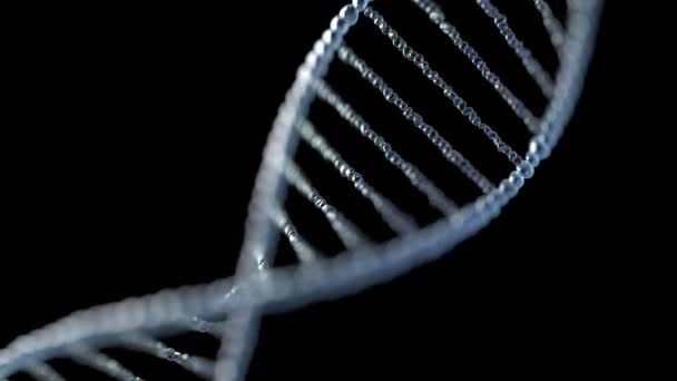 Rotierende Dna Kette Desoxyribonukleinsäure Auf Schwarzem Hintergrund Wissenschaft Und Genetik — Stockvideo