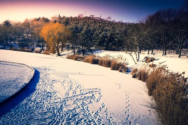 Bevroren Meer Bedekt Met Sneeuw Winter — Stockfoto