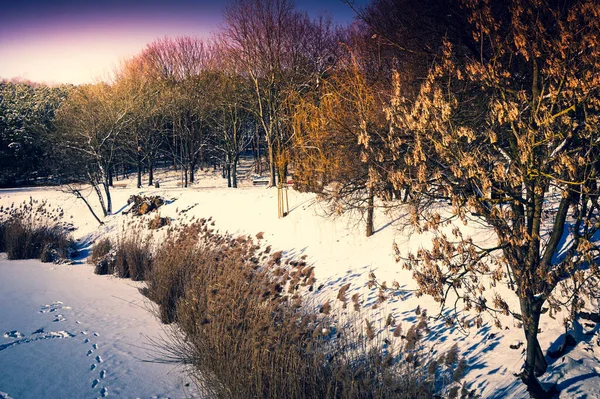 Lago Congelado Coberto Neve Inverno — Fotografia de Stock