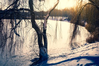 Donmuş göl kışın karla kaplı.