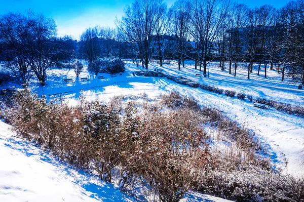 Zugefrorener Teich Park Winter — Stockfoto