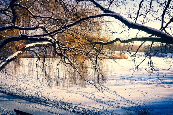Zugefrorener See Winter Mit Schnee Bedeckt — Stockfoto
