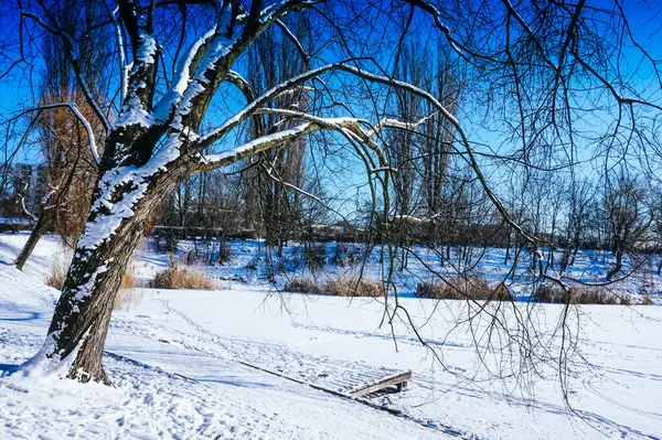 冬は雪に覆われた凍った湖 — ストック写真