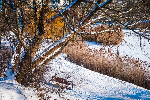 冬は雪に覆われた凍った湖 — ストック写真