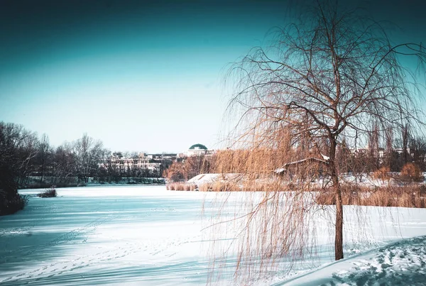 Заморожене Озеро Вкрите Снігом Взимку — стокове фото