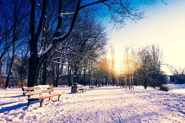 Benches and path in park in winter