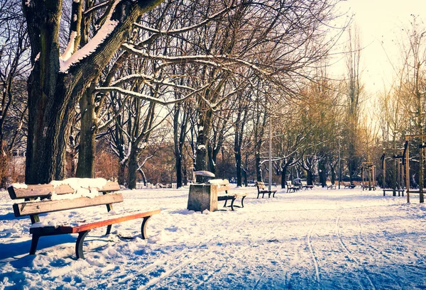 Скамейки Тропа Парке Зимой — стоковое фото
