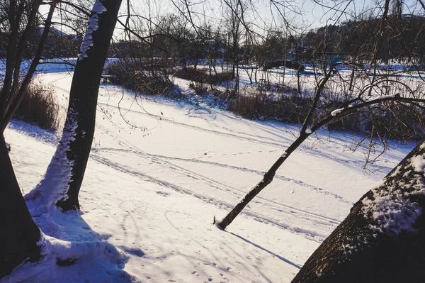Замороженный Пруд Покрытый Снегом Зимой — стоковое фото