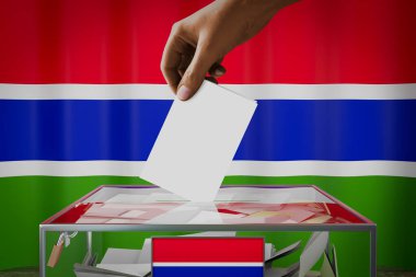 Gambiya bayrağı, oy pusulasının kutuya konması - oy kullanma, seçim konsepti - 3 boyutlu illüstrasyon