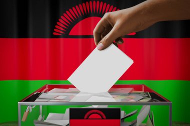 Malawi bayrağı, oy pusulasını bir kutuya atmak - oy kullanma, seçim konsepti - 3D illüstrasyon