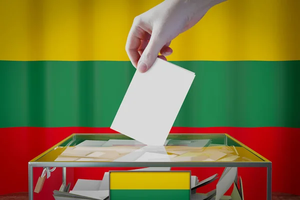Litvanya Bayrağı Pusulasının Kutuya Atılması Kullanma Seçim Konsepti Boyutlu Illüstrasyon — Stok fotoğraf