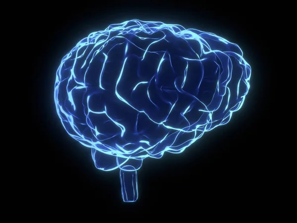 Cerebro Humano Como Ilustración Rayos Ilustración —  Fotos de Stock