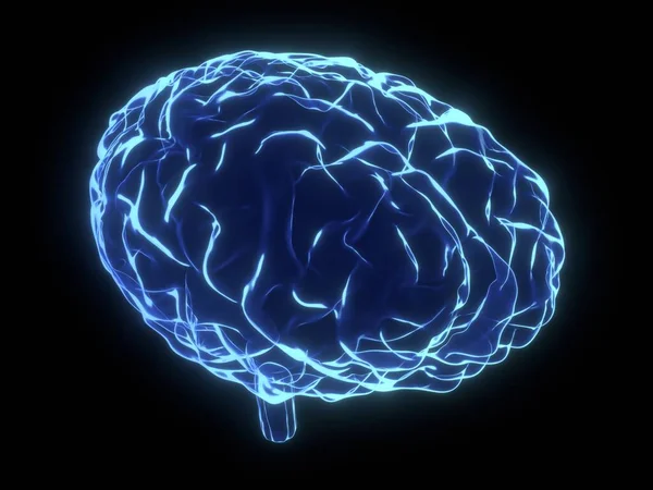 Ludzki Mózg Jako Ilustracja Rentgenowska Ilustracja — Zdjęcie stockowe