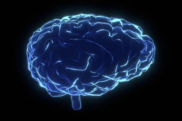 Cerebro Humano Como Ilustración Rayos Ilustración —  Fotos de Stock