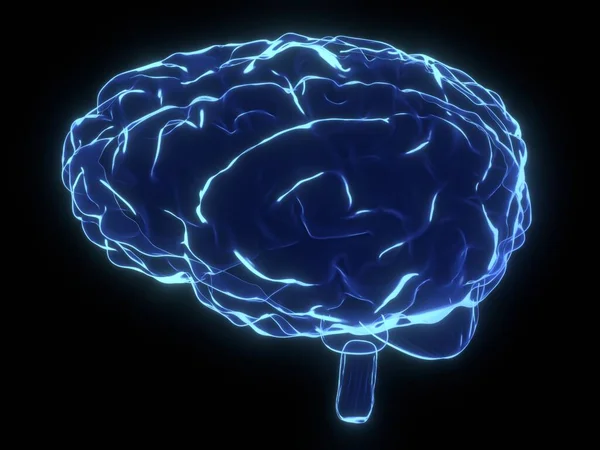 Ludzki Mózg Jako Ilustracja Rentgenowska Ilustracja — Zdjęcie stockowe