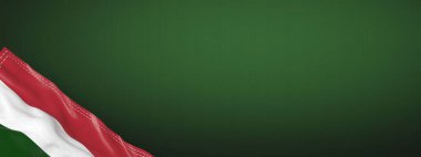 Macaristan - ulusal bayrak ve gradyan arkaplan - yatay bayrak biçimi - 3D illüstrasyon