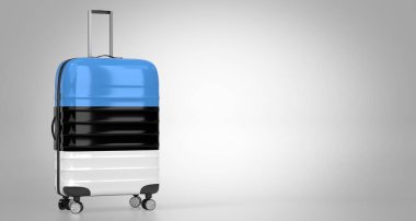 Estonya - bavulda ulusal bayrak - 3D illüstrasyon