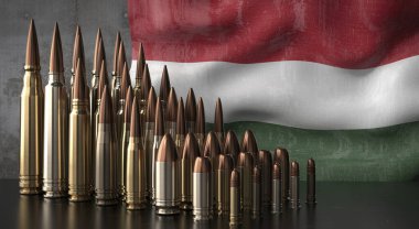 Macaristan - çeşitli mermiler ve ulusal bayrak - 3D illüstrasyon