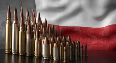 Polonya - çeşitli mermiler ve ulusal bayrak - 3D illüstrasyon