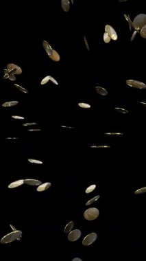 Düşen Altın Para Yağmuru - Kara Arkaplanda İzole - 3d 4k Dikey Animasyon (2160 x 3840 px)