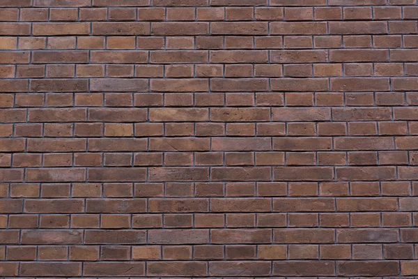 küçük bir tuğla duvar