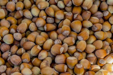 Taze fındık arka plan