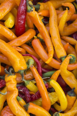 Acı kırmızı biber sıcak