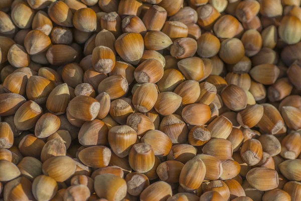 Färska Hazlenut bakgrund — Stockfoto