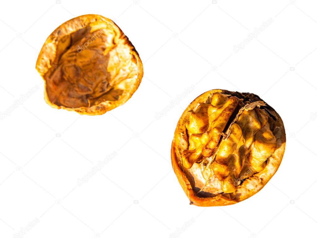 Chopped walnut fruit on a white background. Walnut kernel. The shell is cracked. Harvesting garden crops. Isolated on white background. Background image. Place for your text. Shop window. Poster.