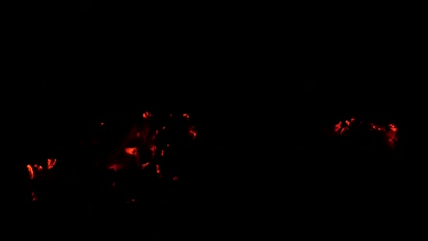 暗闇の中で火の死のメンバー 薪を燃やす 火の炎 田舎のオーブン 暖炉を焼く 夜の観光たき火 木材の燃焼 緊急事態だ 点火の危険性 — ストック動画