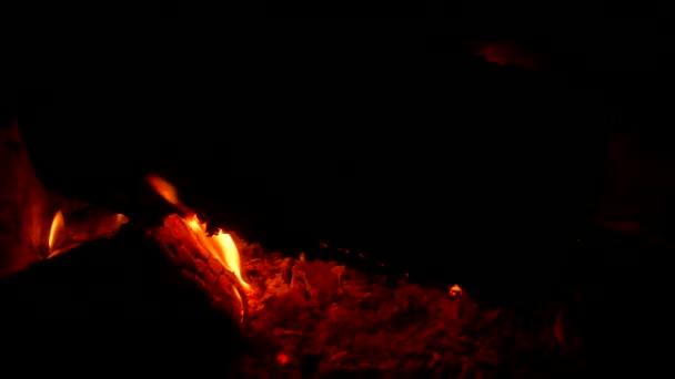 Φωτιά Από Φωτιά Ξυλόσομπα Στο Σκοτάδι Καίει Καυσόξυλα Φλόγα Φωτιάς — Αρχείο Βίντεο