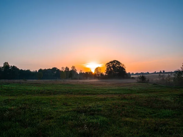 Orangefarbener Sonnenaufgang Über Einer Wiese Nebel Orangefarbener Sonnenuntergang Über Dem — Stockfoto