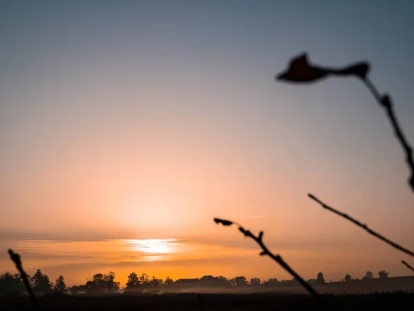 Naranja Amanecer Sobre Prado Niebla Puesta Sol Naranja Sobre Horizonte —  Fotos de Stock