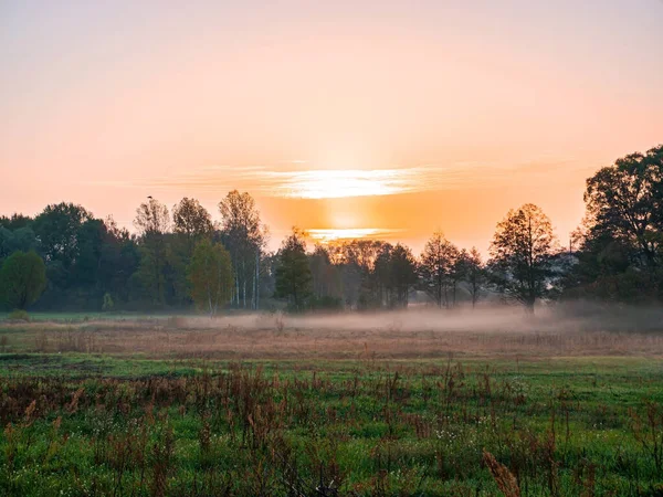 Orangefarbener Sonnenaufgang Über Einer Wiese Nebel Orangefarbener Sonnenuntergang Über Dem — Stockfoto