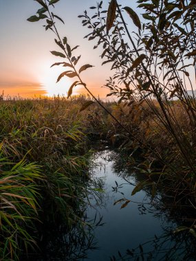 Nehrin su yüzeyi ve güneşin doğuşu.