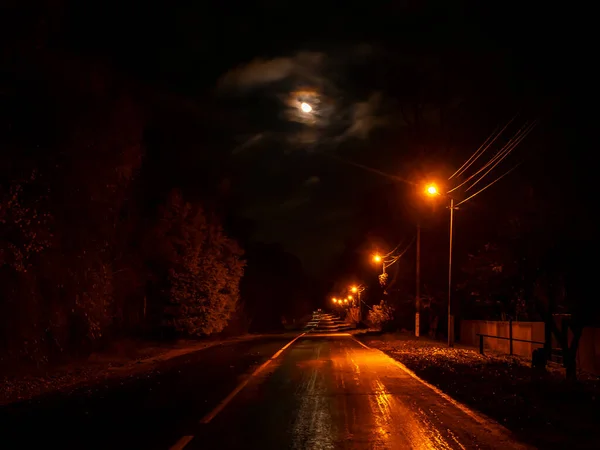 Ночная Загородная Дорога Освещена Электрическими Лампами Дорожные Знаки Шоссе Освещения — стоковое фото