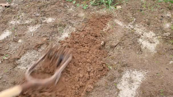 Bearbeitung Landwirtschaftlicher Flächen Mit Handwerkzeugen Kultivator Werkzeug Ackerbau Handwerkzeug Handarbeit — Stockvideo