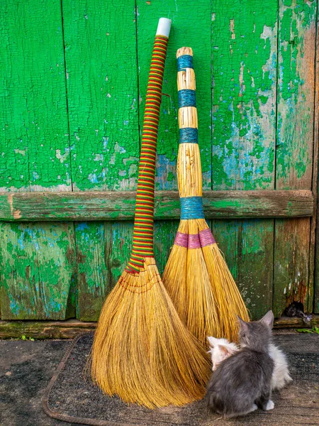 Kittens near a broom for sweeping the floor. Broom for sweeping the floor. Ladies kittens. Pets. The hostess tool. Two cats. Cat. Pedigree cat. Background image.
