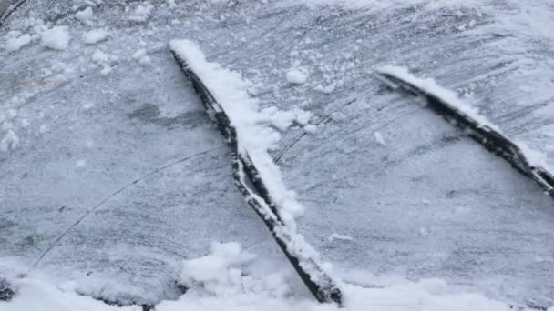 Autoscheibenbürsten Reinigen Den Weißen Schnee Fensterputzen Auto Winterzeit Weißer Schnee — Stockvideo