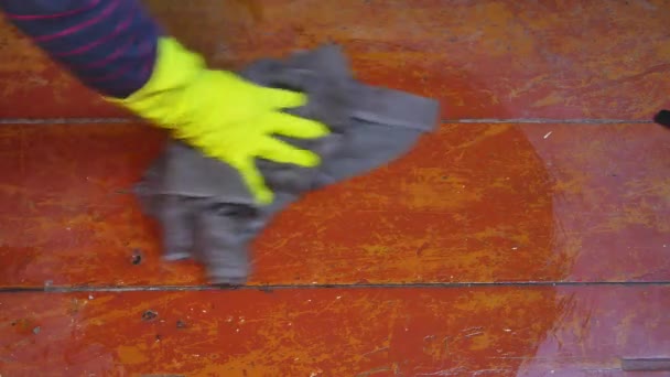 De vloer wassen met een doek met rubberen handschoenen. — Stockvideo