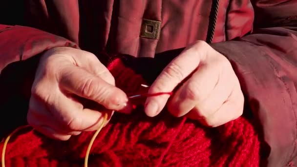 暖かい服のための毛糸で編む 針を編む 羊毛の糸だ 老人の手 手仕事だ 暖かい服を織る 人間の創造性 手作りだ ビデオ — ストック動画